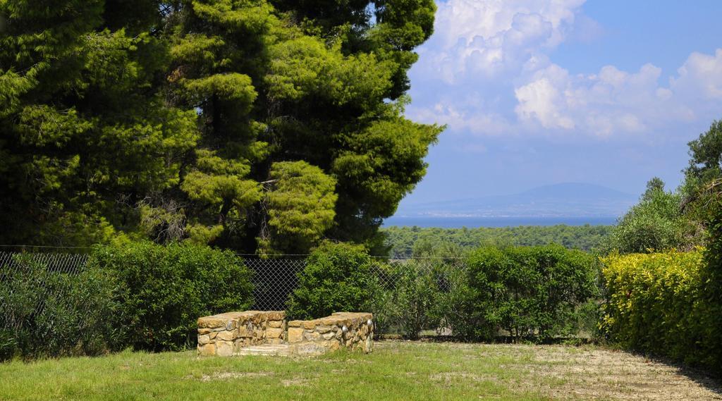 Olivos Villa Sani 撒尼海滩 客房 照片